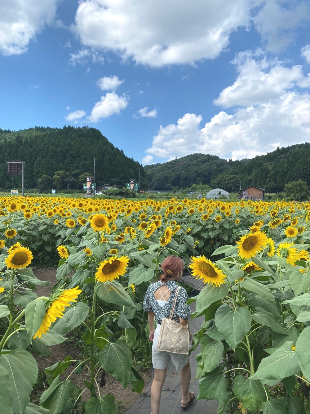 「低身長コーデ、カジュアル、夏コーデ」｜「ZARAのアイテム（シャツ/ブラウス、グリーン系）」を使った、azukiさん（レディース・139cm）の秋コーディネートの1枚目の写真