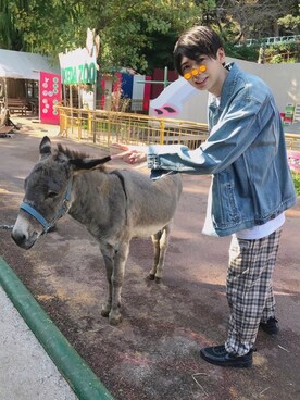 ぺるしーさんのコーディネート