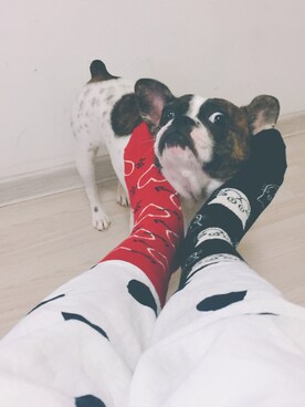「Happy Socks（ハッピーソックス）のアイテム（ソックス/靴下、レッド系）」を使った、肥腻腻さん（レディース・163cm）の夏コーディネート