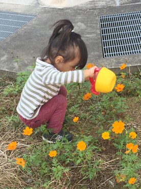 「BRANSHES（ブランシェス）のアイテム（その他パンツ、レッド系）」を使った、かんちゃんさん（キッズ・80cm）の秋コーディネート