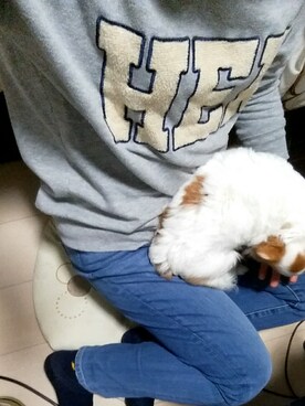 Arare Zakiyamaさんのコーディネート