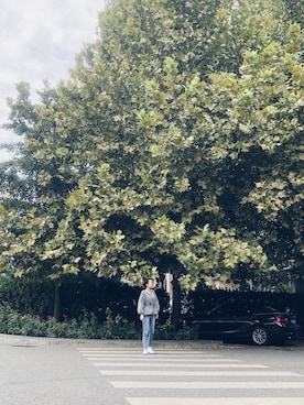 「madewell（メイドウェル）のアイテム（トップス）」を使った、lost_highwayさん（レディース・165cm）の秋コーディネート