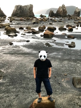 うたぱんさんのコーディネート