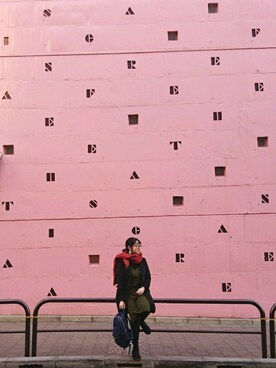 Weiwei  Wangさんのコーディネート