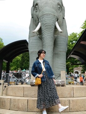 Weiwei  Wangさんのコーディネート