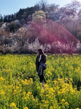 「菜の花」｜Elisa Yenさん（レディース・163cm）の春コーディネート