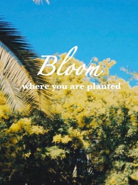 Bloomさんのコーディネート