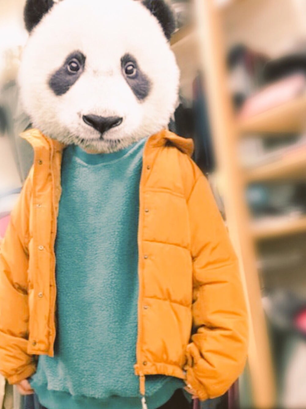 「カジュアルコーデ、winter、シンプル、ゆるコーデ、ボア、おしゃれさんと繋がりたい、キイロ、黄色」｜「w closetのビッグシルエットエコダウンブルゾン（ダウンジャケット/コート、イエロー系）」を使った、えどぅさん（レディース・162cm）の冬コーディネートの1枚目の写真