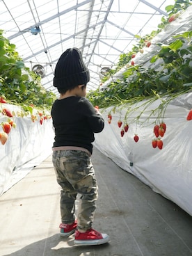 「joe's （ジョーズ）のアイテム」を使った、*そうまりこ*さん（キッズ・80cm）の春コーディネート