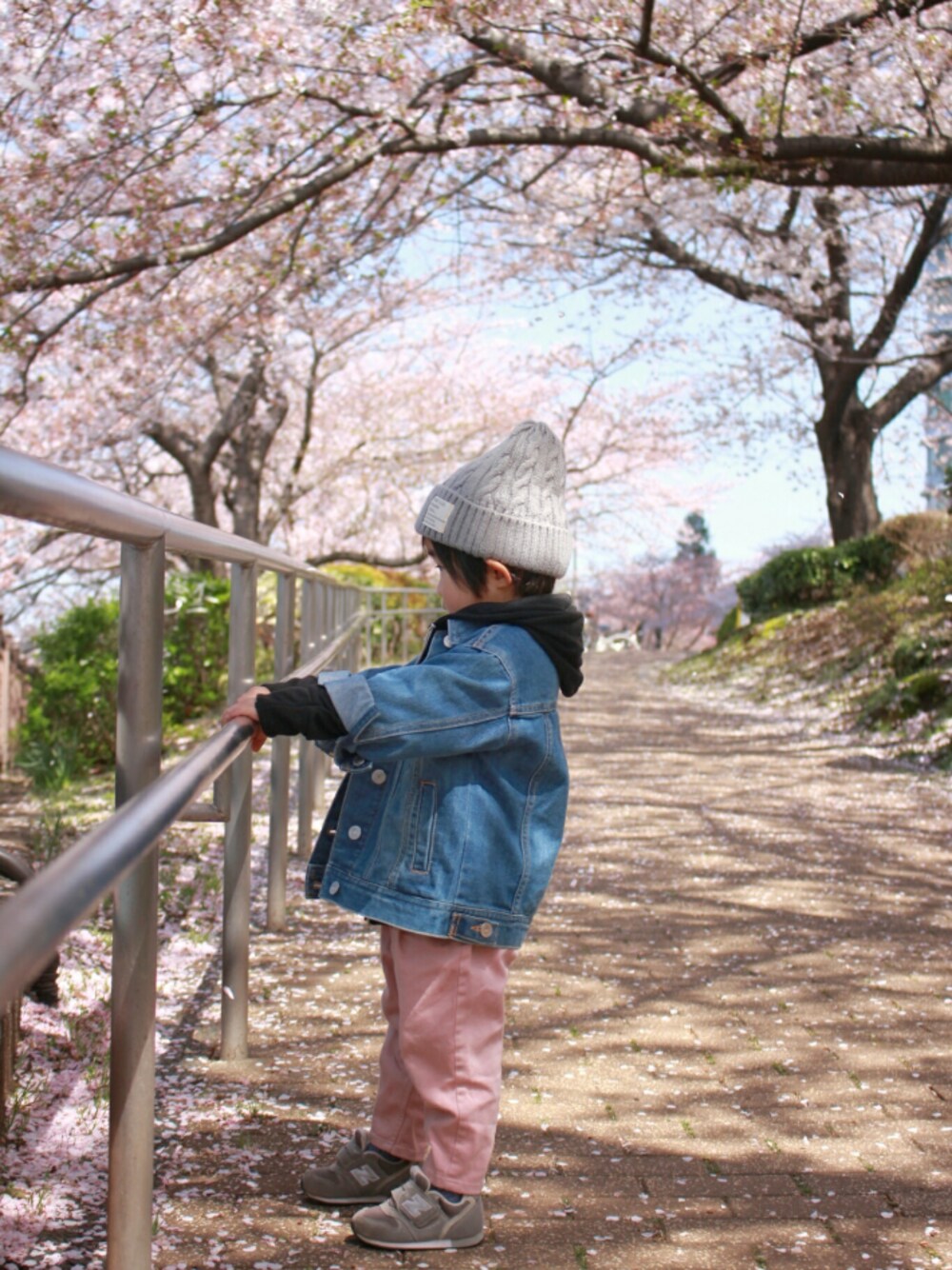 「勝手に一人桜祭り2018、ピンク、ピンク男子、デニムジャケット、Gジャン×パーカー、ボーダーTシャツ、テーパードパンツ、New Balance、お花見、2歳」｜「西松屋のアイテム（ニットキャップ/ビーニー、グレー系）」を使った、*そうまりこ*さん（キッズ・90cm）の春コーディネートの1枚目の写真
