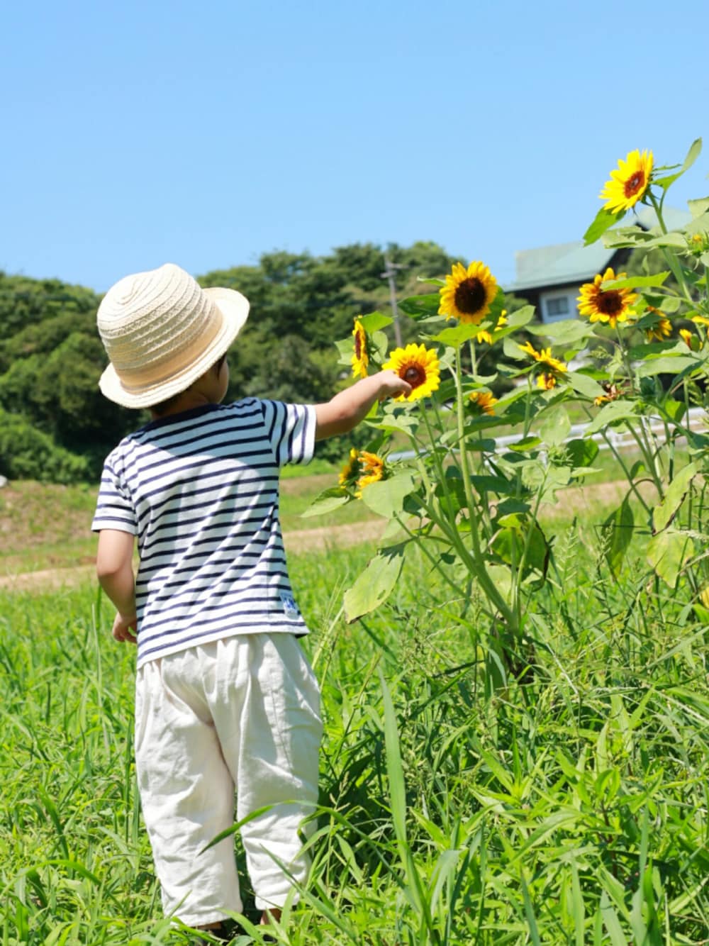 「夏のワントーンコーデ、ひまわり畑、ホワイトコーデ、シンプル、サンダル、夏、白パンツ、麦わら帽子、ボーダー、4ヶ月着回しチャレンジ中」｜「強風だけどのアイテム（福袋/福箱、その他）」を使った、*そうまりこ*さん（キッズ・90cm）の夏コーディネートの1枚目の写真