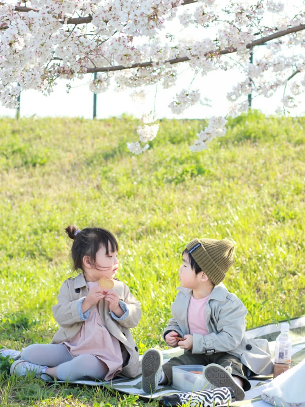 「勝手に一人桜祭り2019、平成最後のWEARISTAセンバツ、ピンク、トレンチコート、ピクニック、デート、カップルコーデ、リンクコーデ、converse、お座りポ研究プロジェクト」｜「CONVERSEのCONVERSE / CHILD ALL STAR N Z OX（スニーカー、ホワイト系）」を使った、*そうまりこ*さん（キッズ・90cm）の春コーディネートの1枚目の写真