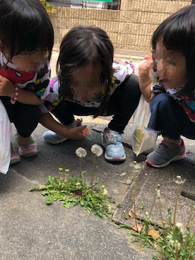 yktnさんのコーディネート