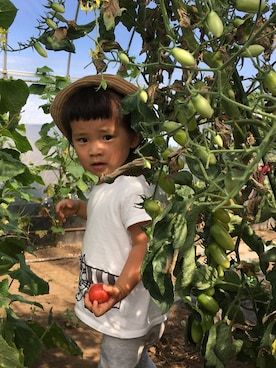 tsuka_jinyoさん（キッズ・90cm）の夏コーディネート