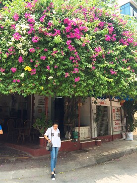 Thái Hàさんのコーディネート