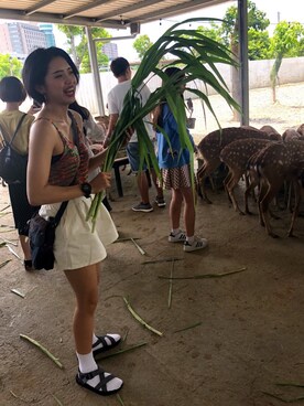 酥スさんのコーディネート