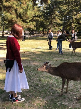 Chelsea_Leungさんのコーディネート