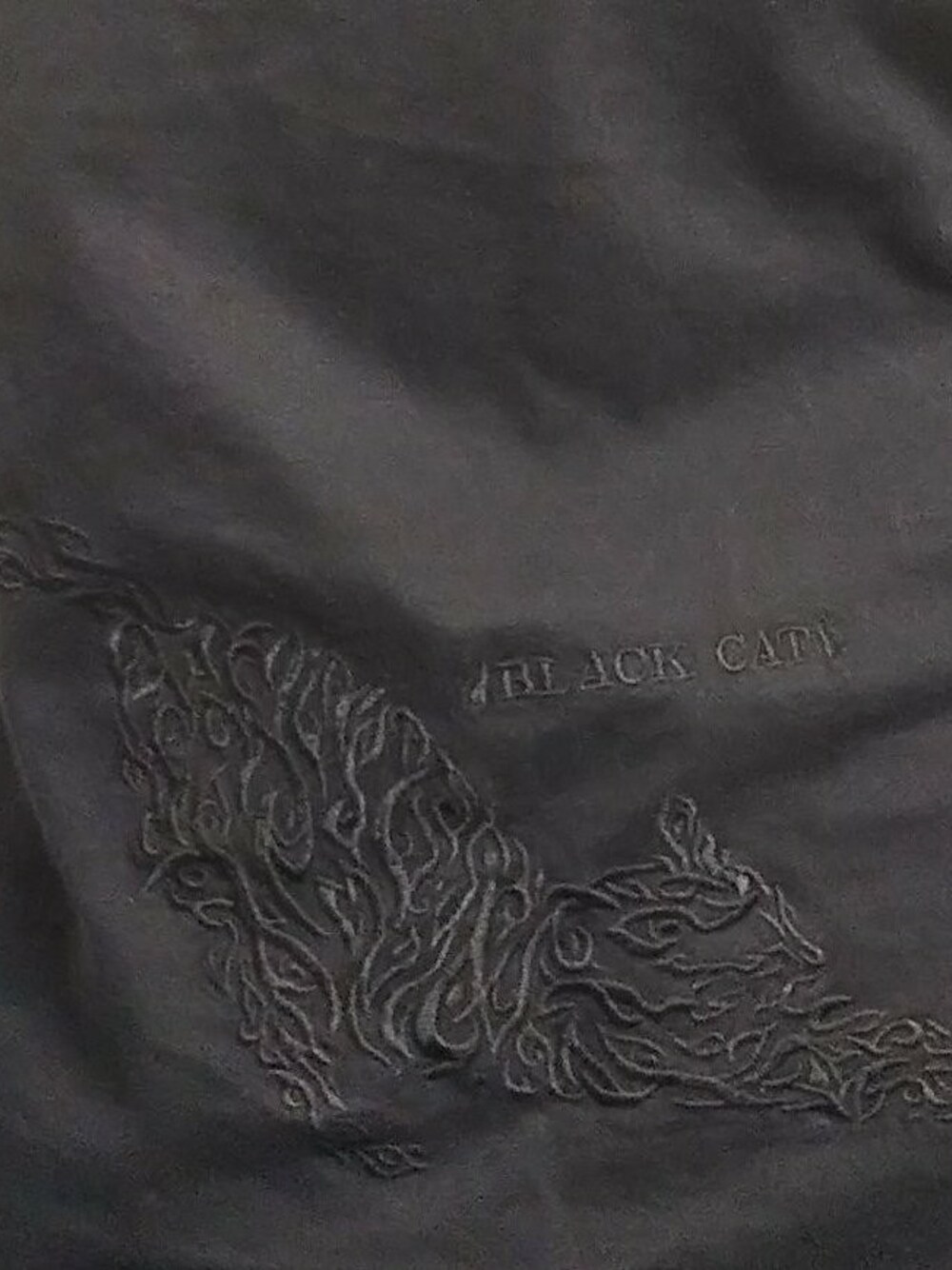 「black、ブラック、Tシャツ、刺繍、spring、street、オリジナル、ネコ、オトナカジュアル、ネコ柄」｜「BLACKCATオリジナルTシャツ（Tシャツ/カットソー、ブラック系）」を使った、愛知　BLACKCATヒロさん（メンズ・165cm）の冬コーディネートの1枚目の写真
