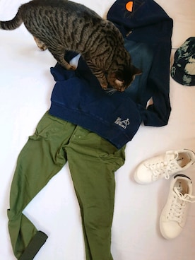 「ネコ」｜「アイテム（チノパンツ）」を使った、水玉とシマシマさん（レディース・155cm）の春コーディネート