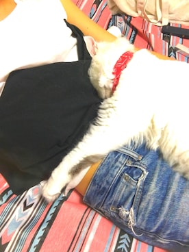 tom.aさんのコーディネート