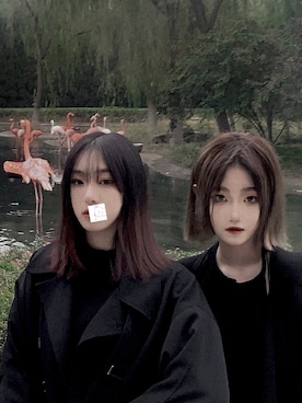 「ro（ロー）のアイテム」を使った、妮妮吃肉肉さん（レディース・170cm）の秋コーディネート