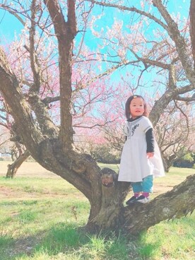 「西松屋（ニシマツヤ）のアイテム（ワンピース/ドレス、ホワイト系）」を使った、ａｎｋｏ*さん（キッズ・80cm）の春コーディネート