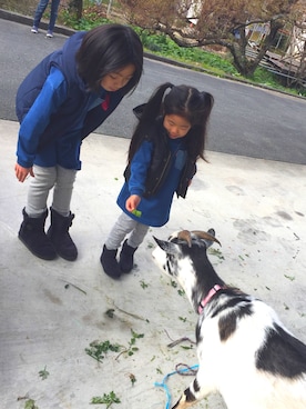 「F.O.KIDS（エフオーキッズ）のアイテム（ワンピース/ドレス）」を使った、y32さん（キッズ・132cm）の冬コーディネート