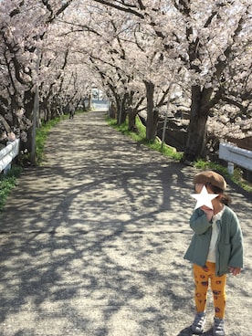 taaoさんのコーディネート