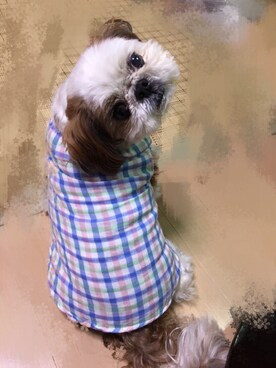 あーちゃんさんのコーディネート