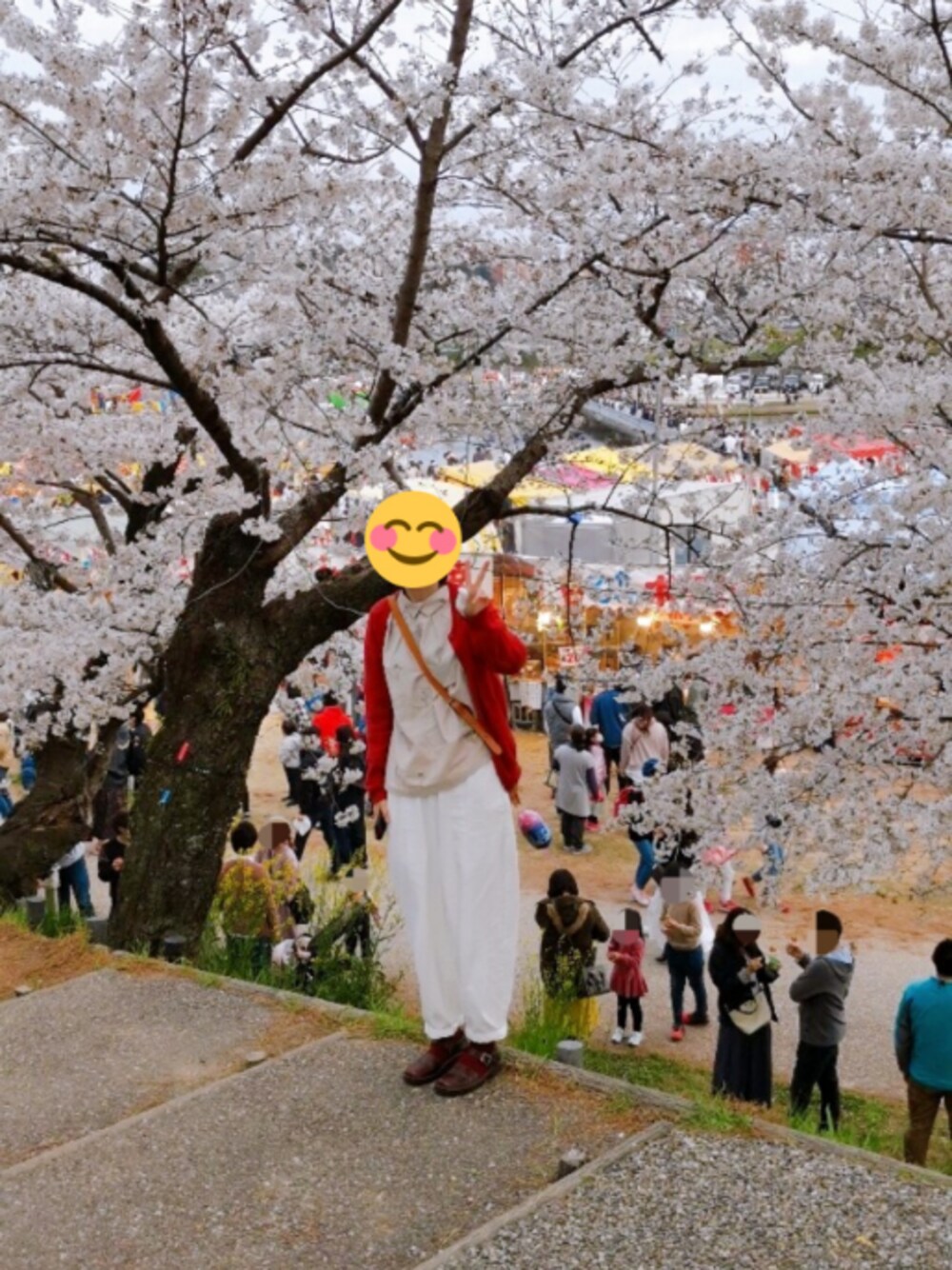 「春カラー、ナチュラル、NAOT、お花見、シンプルコーデ、今日のコーデ、ホワイトパンツ、ブラウス、cloudnine、ナチュラルスタイル」｜「CLOUDNINEのアイテム（シャツ/ブラウス、ベージュ系）」を使った、密かなさつまいもさん（レディース・162cm）の春コーディネートの1枚目の写真