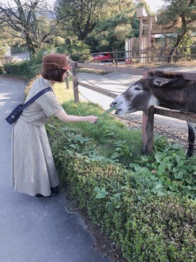 「mercibeaucoup,（メルシーボークー）のアイテム（帽子）」を使った、チャッキーナ 𓆌さん（レディース・160cm）の秋コーディネート