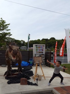 よーこさんのコーディネート