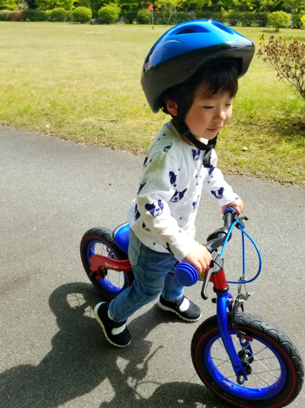 「男の子コーデ、キッズ、3歳、おしゃれさんと繋がりたい、へんしんバイク、練習中」｜「petit mainのブルドッグ総柄８分袖Tシャツ（Tシャツ/カットソー、ホワイト系）」を使った、☆☆K&S☆☆さん（キッズ・90cm）の春コーディネートの1枚目の写真