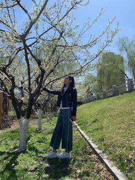 「Vero Moda（-）のアイテム」を使った、送一米要做行走如风的少年さん（レディース・158cm）の秋コーディネート