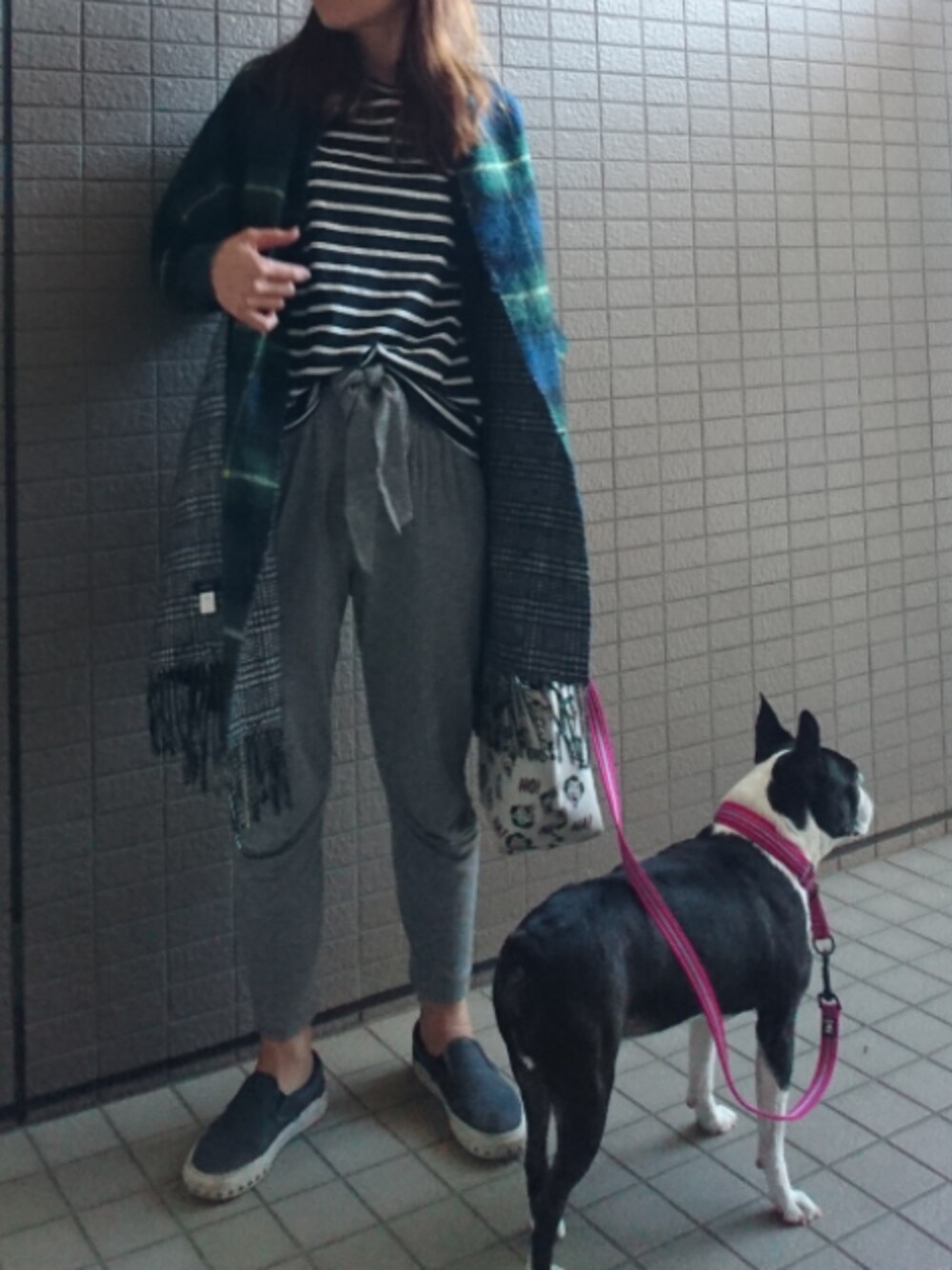 「シンプル、休日スタイル、ストール、カーディガン、プチバトー、ボーダー、スウェットパンツ、トートバッグ、スリッポン、ボストンテリア」｜「SHIPS for womenのリバーシブル チェックストール◇（ストール/ショール、グリーン系）」を使った、akaneさん（レディース・165cm）の春コーディネートの1枚目の写真
