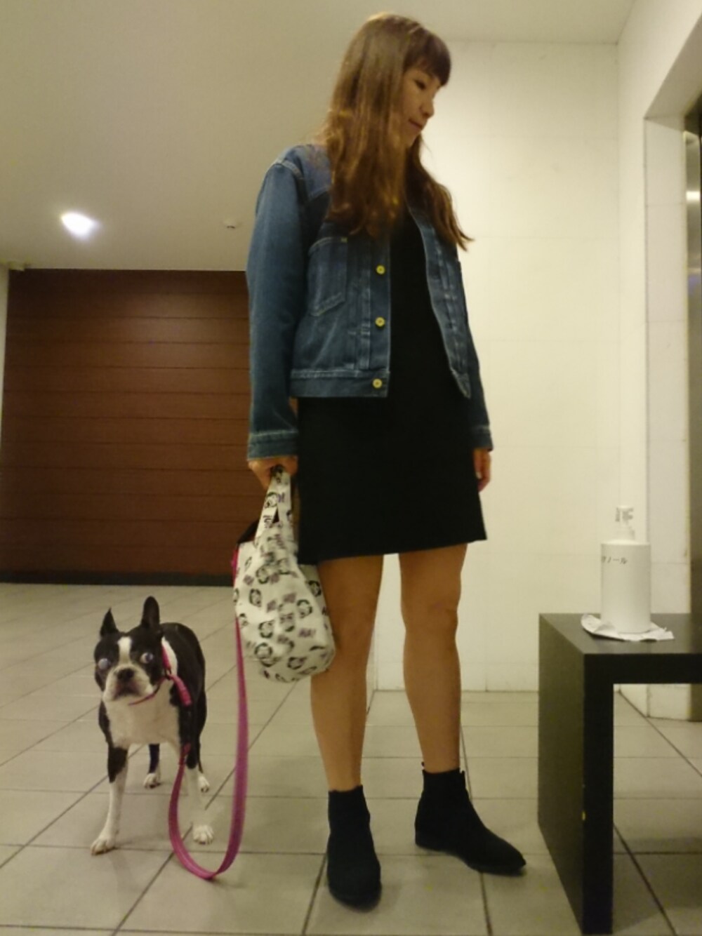 「シンプル、休日スタイル、Gジャン、ノーカラージャケット、ワンピース、ZARA、ショートブーツ、サイドゴアブーツ、gaimo、ボストンテリア」｜「MEDICOM TOYのMLE DC COMICS シリーズ ミニトートバッグ（トートバッグ、ホワイト系）」を使った、akaneさん（レディース・165cm）の秋コーディネートの1枚目の写真