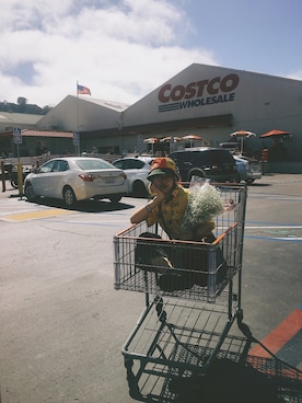 guanjinghuang224さん（レディース・173cm）の秋コーディネート