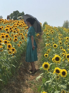 「ひまわり畑」｜「アイテム（その他）」を使った、Rikaroさん（レディース・158cm）の夏コーディネート