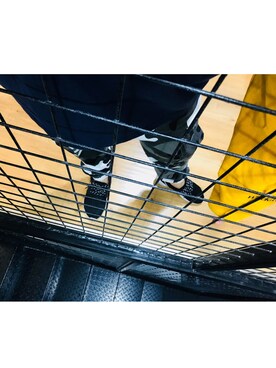 3颗猫饼干喵さんのコーディネート