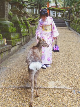 「アイテム（ドレス、ピンク系）」を使った、♡ ℐ i ℓ ℓ 𓈒𓏸  さん（レディース・160cm）の春コーディネート