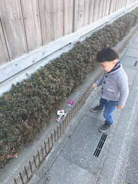 チョミ吉さんのコーディネート