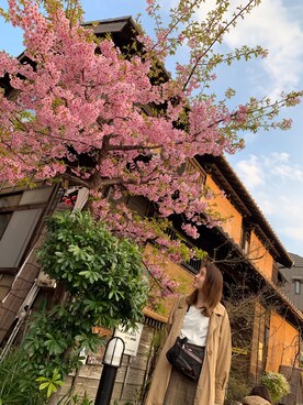 misa_iimuraさんのコーディネート