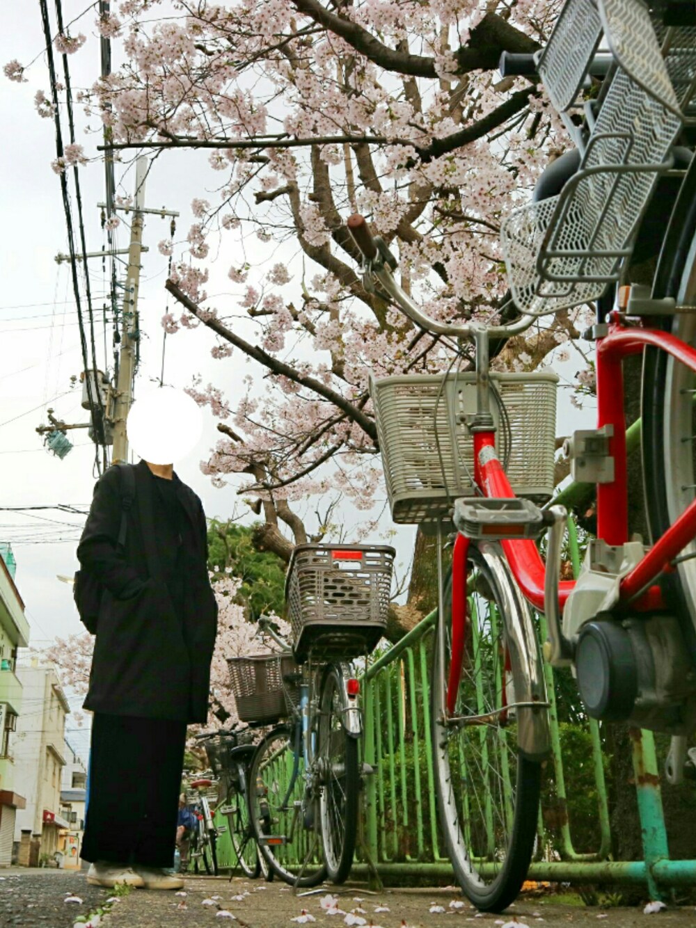 「ワイドパンツ、花見、黒い、暗い、地味、芦屋さくらファンラン、多分205位とか、次はないかな←おい、社畜の休日、おーはしレコード」｜「WHO'S WHO galleryのノーカラーコート（ステンカラーコート、ブラック系）」を使った、おーはしくんさん（メンズ・173cm）の春コーディネートの1枚目の写真