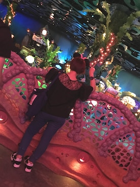 あおさくさんのコーディネート