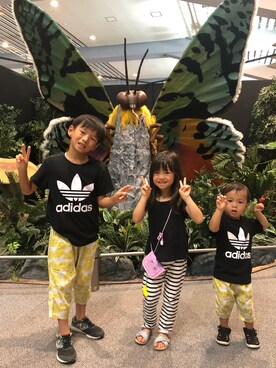 しーちゃんさん（レディース・158cm）の夏コーディネート