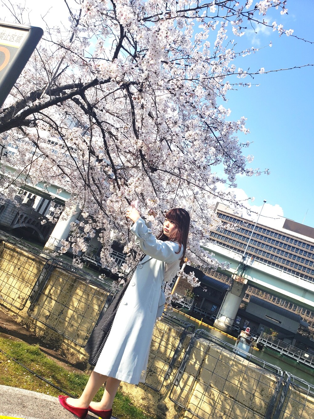 「春、レトロガール、ドット、dazzlin、トレンチコート、北浜、ガーリーコーデ、おしゃれさんと繋がりたい」｜「dazzlinのうしろふんわりトレンチコート（トレンチコート、ブルー系）」を使った、にゃんちゆさん（レディース・162cm）の春コーディネートの1枚目の写真