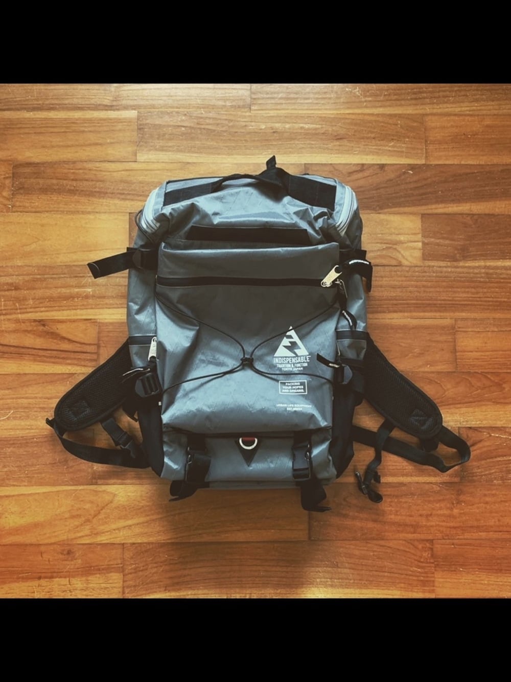 INDISPENSABLE （インディスペンサブル）の「＿INDISPENSABLE BACKPACK 