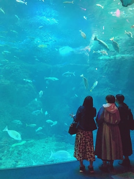 「水族館」｜「アイテム（ジャケット/アウター）」を使った、ぱちさん（レディース・156cm）の秋コーディネート