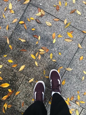 Hitomi Kitadaさんのコーディネート