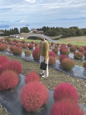 みさんのコーディネート